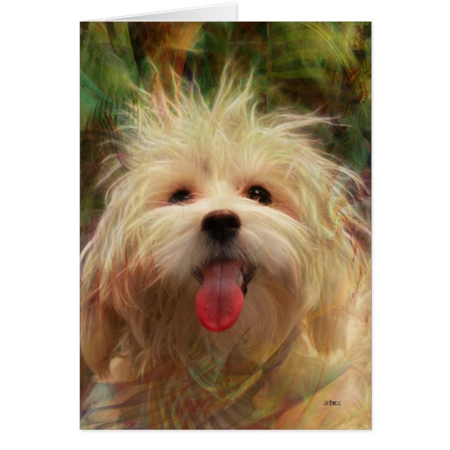 Lycklig campare hälsningskort (Framsidan)