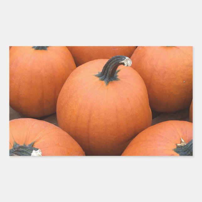 Lycklig Carving Rektangulärt Klistermärke (Framsida)