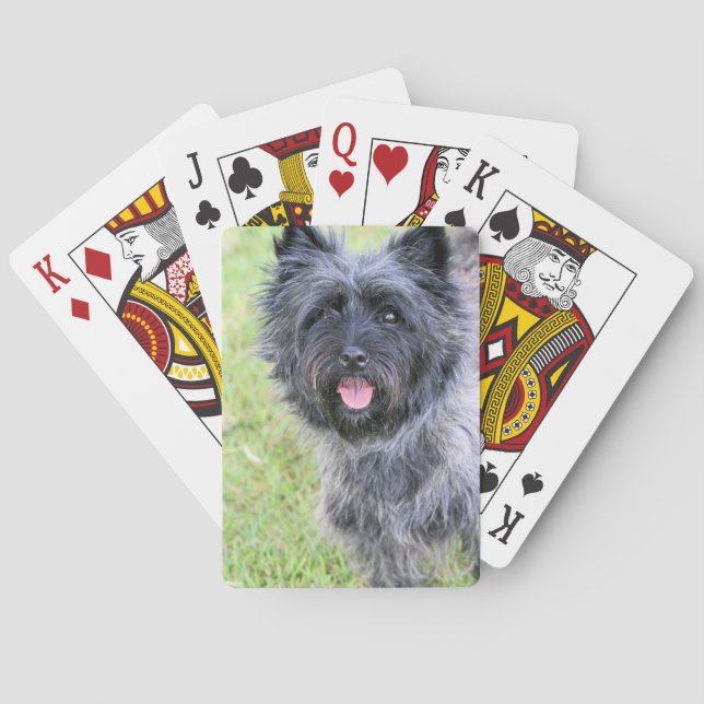 Lycklig Casinokort (Baksidan)