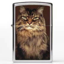 Lycklig Cat Brown Tabby katt Funny