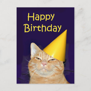 Lycklig cat Grattis på födelsedagen Vykort