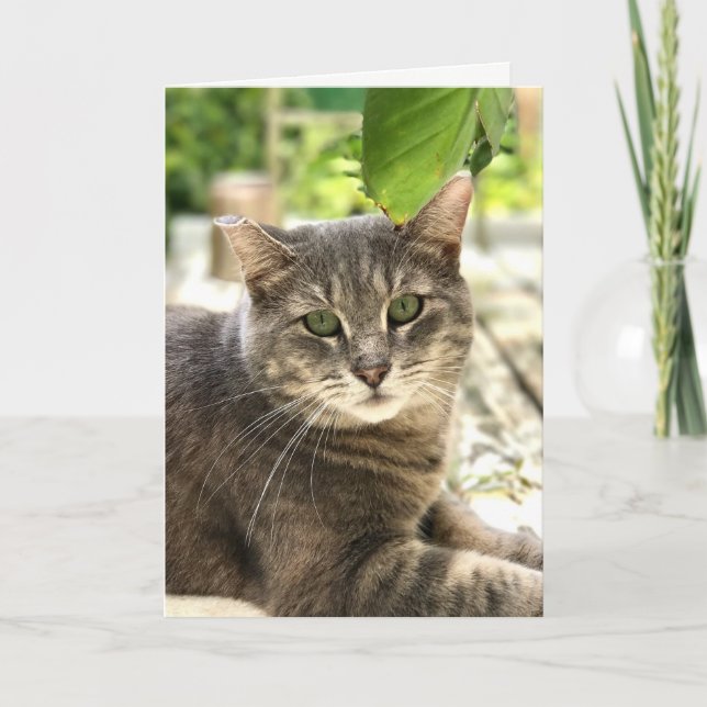 Lycklig Cat-hälsningskort Tack Kort (Framsida)