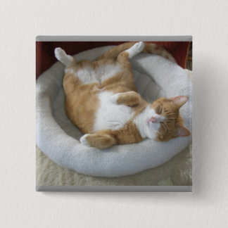 Lycklig Cat Knapp