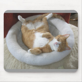 Lycklig Cat Musmatta
