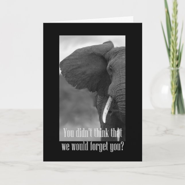 Lycklig Chef-dag med svart och vitt elefant-foto Kort (Framsida)