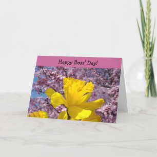 Lycklig Chef-dagen! kort Chef Tack Daffodils