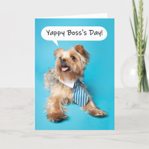 Lycklig Chef:s Day Yappy Yorkie Dog Humor Helgkort