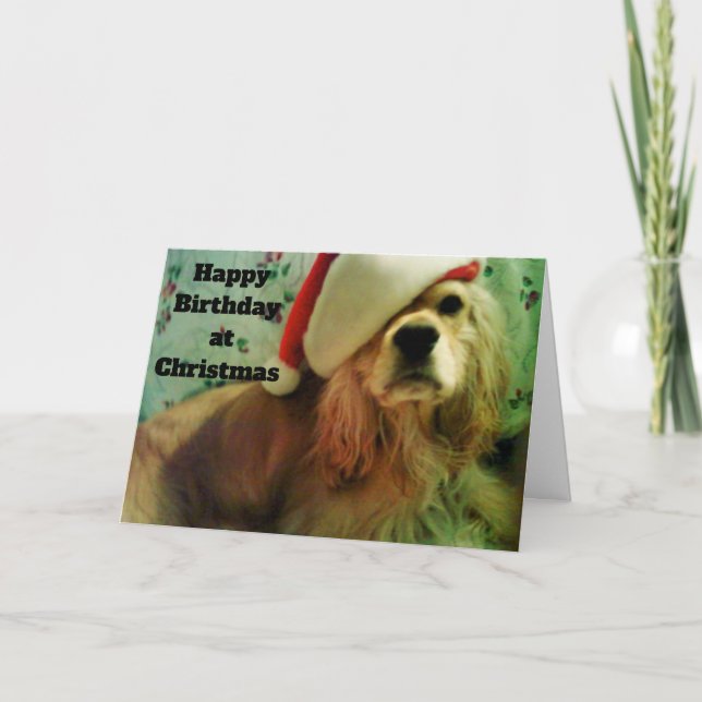 LYCKLIG CHRISTMAS BIRTHDAY FRÅN COCKER SPANIEL HELGKORT (Framsida)