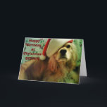 LYCKLIG "CHRISTMAS BIRTHDAY" TILL MIN SISTER HELGKORT<br><div class="desc">Två underbara firande i år för den särskilda SISTER som firar en "CHRISTMAS"-födelsedag eller NEAR CHRISTMAS FOR SURE.</div>