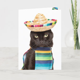 Lycklig Cinco De Mayo Cat i Sombrerro Humor Helgkort