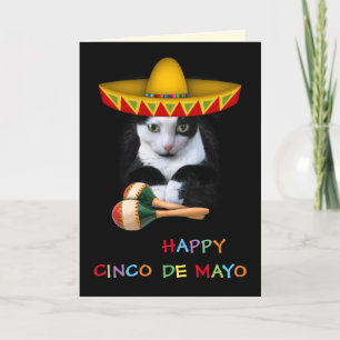 Lycklig Cinco De Mayo Cat Kort