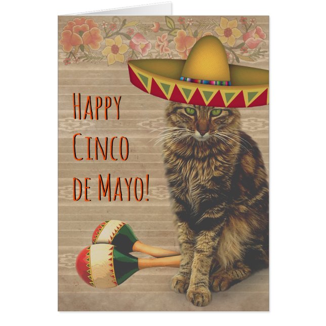 Lycklig Cinco de Mayo Cat med mexikansk hat Hälsningskort (Framsidan)