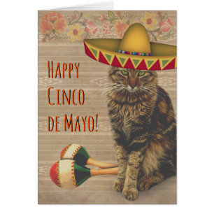 Lycklig Cinco de Mayo katt med den mexicanska Hälsningskort