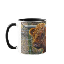 Lycklig Coosday till dig