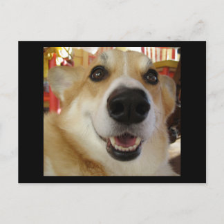 Lycklig Corgi-vykort Vykort