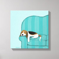 Lycklig Couch Beagle | Cute Sleeping Hund | Pälsko
