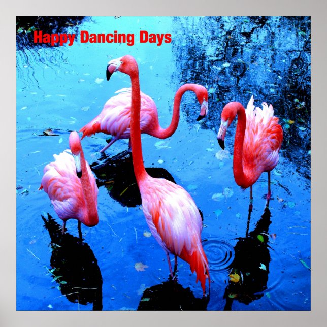 Lycklig Dancing Days flamingos Poster (Framsidan)