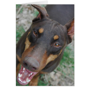 Lycklig doberman hälsningskort