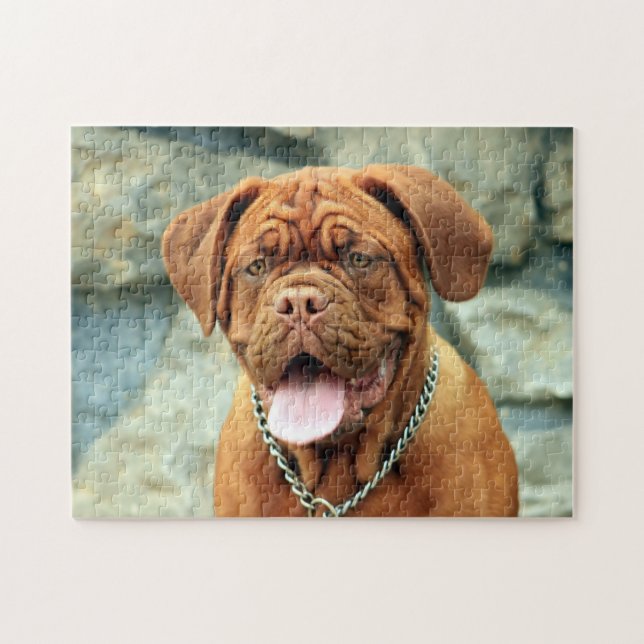 Lycklig Dogue de Bordeaux Pussel (Horisontell)