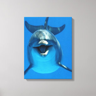 Lycklig Dolphin Kanvastryck