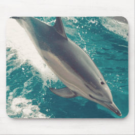 Lycklig Dolphin Musmatta