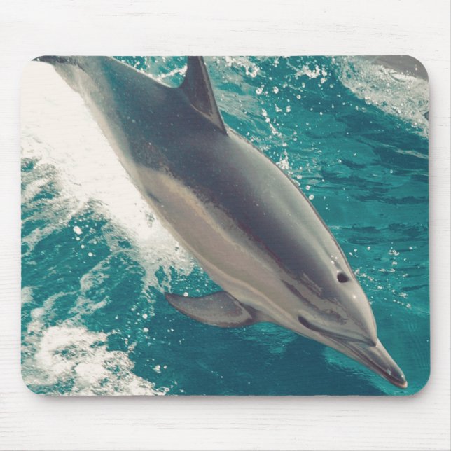 Lycklig Dolphin Musmatta (Framsidan)