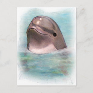 LYCKLIG DOLPHIN VYKORT