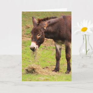 Lycklig Donkey Birthday Kort