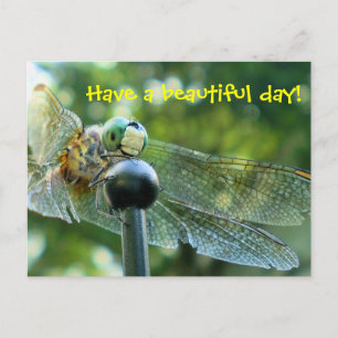 Lycklig Dragonfly Vykort