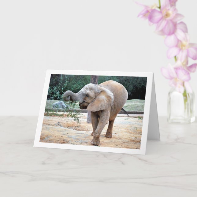Lycklig Elefant Kort (Orkide)