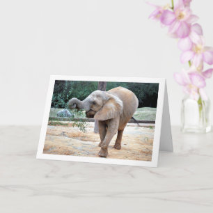 Lycklig Elefant Kort