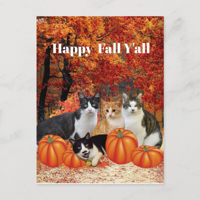 Lycklig Fall Y'all Cats and Pumpkins Postcard Vykort (Framsida)