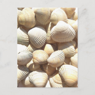 Lycklig Far-dagen, Seashells, Photo Summer Beach Vykort