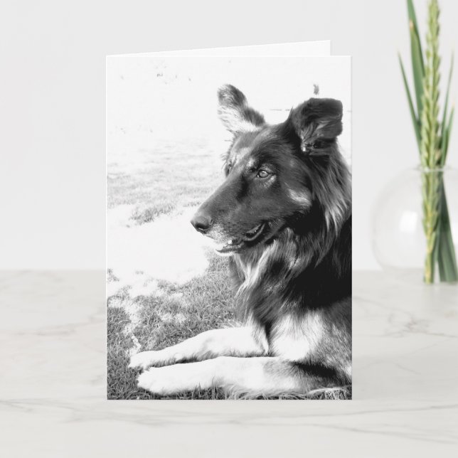 Lycklig Fars dag belgiskt skepherd Hund Card Kort (Framsida)