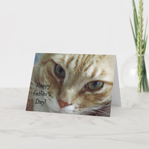 Lycklig fars dag från katt kort