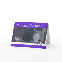 Lycklig Fars dag från katter