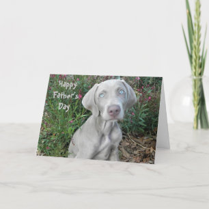 Lycklig Fars dag ... Från Weimaraner-Hund Kort