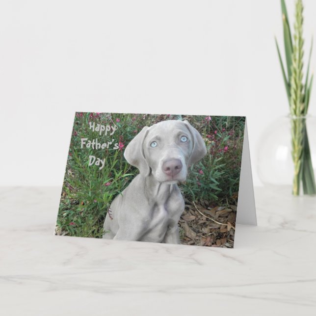Lycklig Fars dag ... Från Weimaraner-Hund Kort (Framsida)
