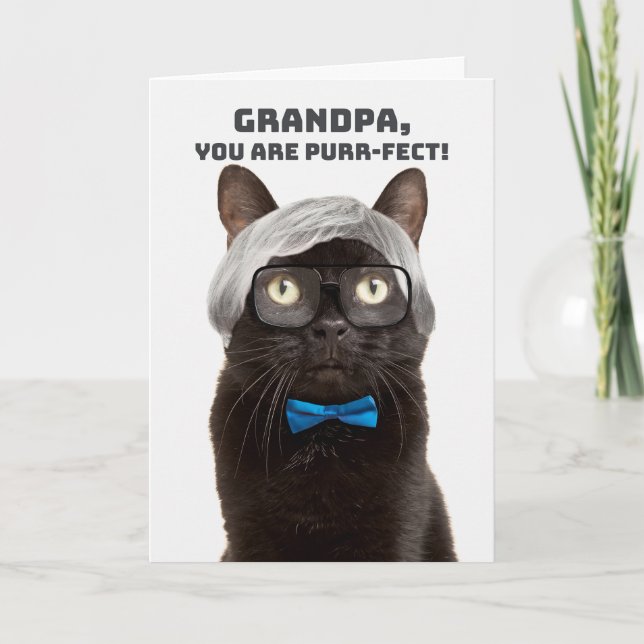 Lycklig Fars dag Grandpa Old Man Cat Humor Helgkort (Framsida)