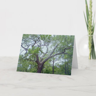 Lycklig fars dag kort