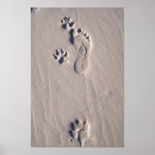 Lycklig Feet Poster