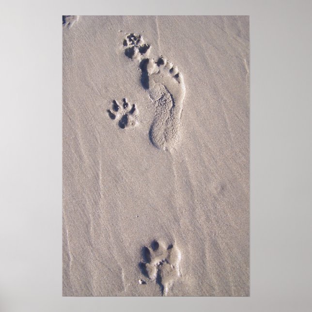 Lycklig Feet Poster (Framsidan)