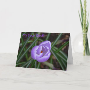 Lycklig Födelsedag-krokus blomma Kort