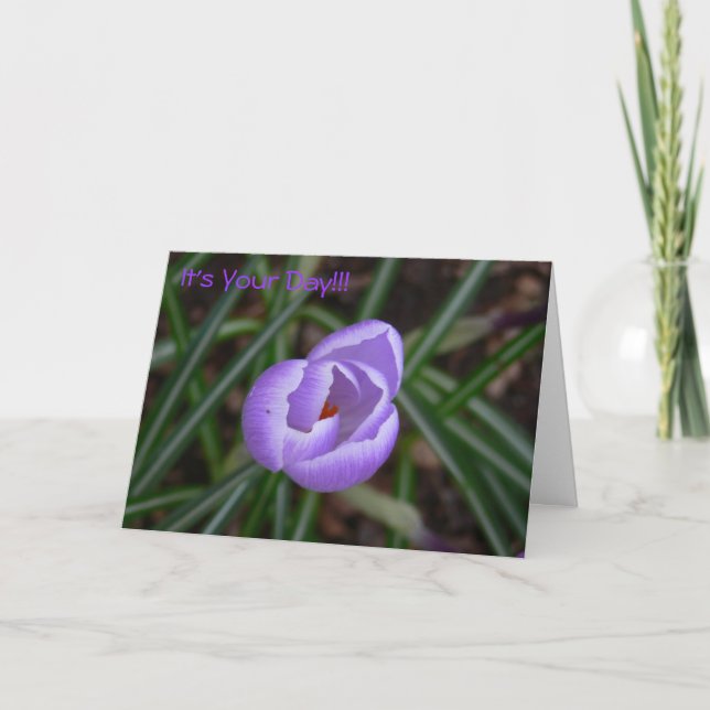 Lycklig Födelsedag-krokus blomma Kort (Framsida)