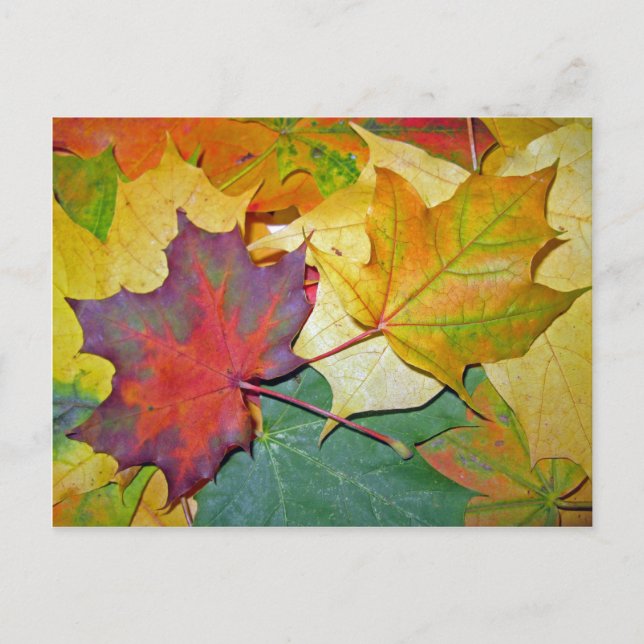 Lycklig för att vara tillsammans vykort (Framsida)