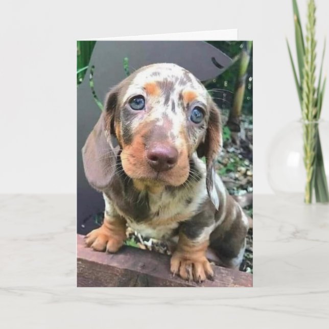 ***LYCKLIG FÖR DIG***/** KOMMER OCKSÅ ATT MISSA DI KORT (Framsida)