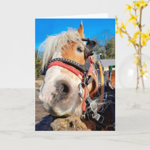 Lycklig Friendly Horse Birthday Kort