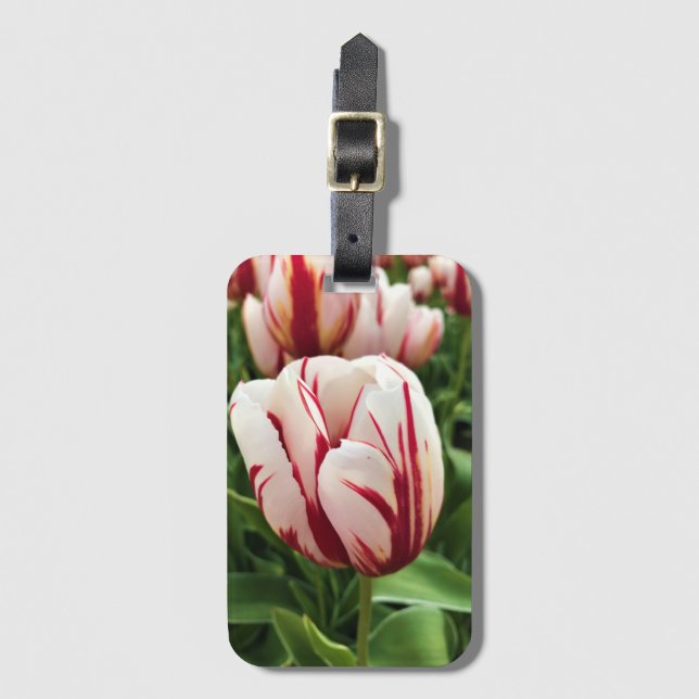 Lycklig Generation Tulip, Oregon Bagagebricka (Framsida vertikal)