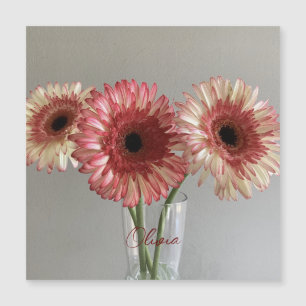 Lycklig Gerbera Rosa Flower Photo +eget namn