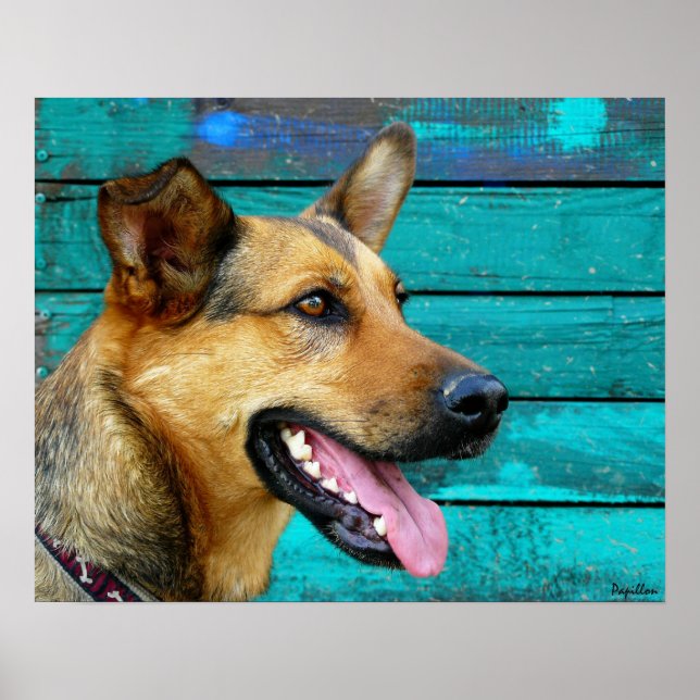 Lycklig German Shepherd Hund Poster (Framsidan)